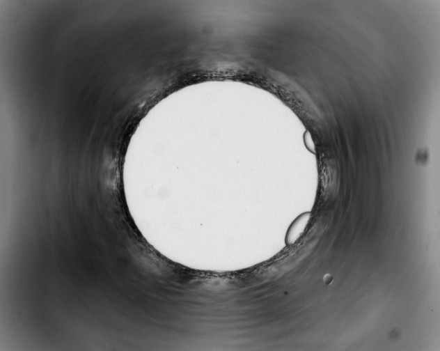 X0000103441204200810241113