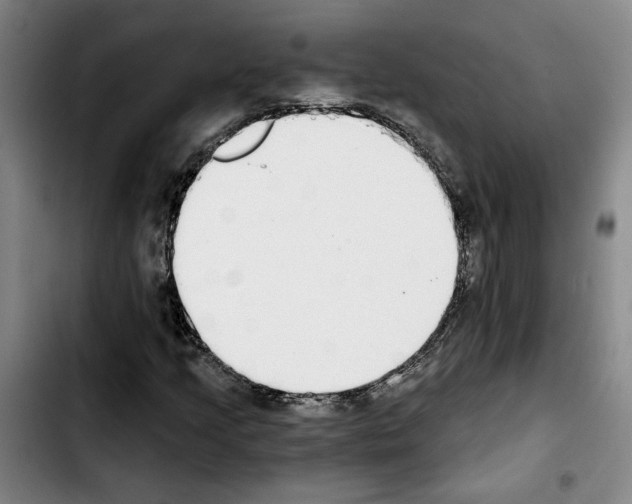 X0000103441205200810241113