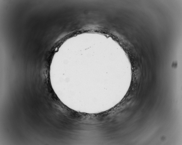 X0000103441206200810241113