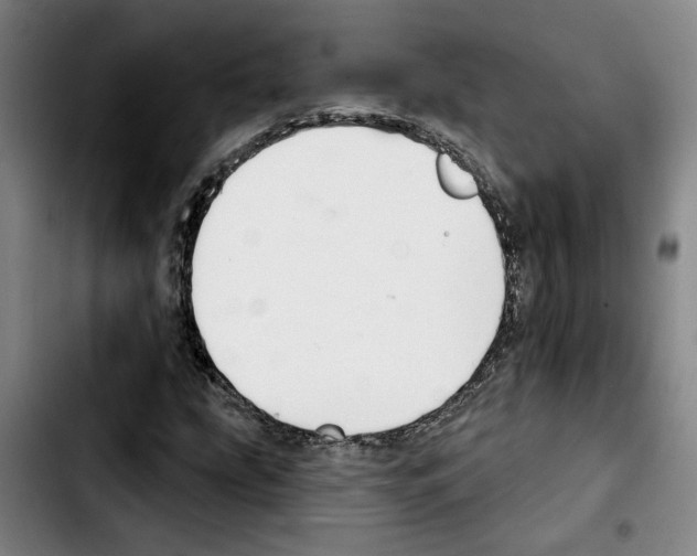 X0000103441207200810241113
