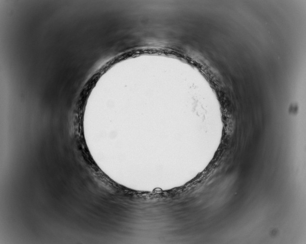 X0000103441208200810241113