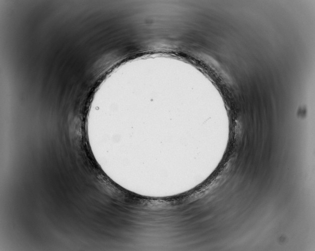 X0000103441209200810241114