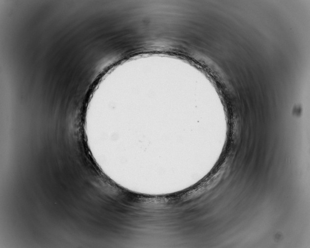 X0000103441210200810241114