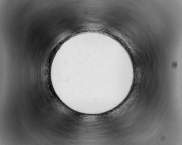 X0000103441211200810241114