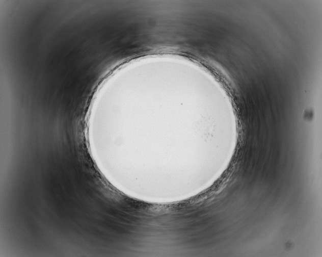 X0000103441212200810241114