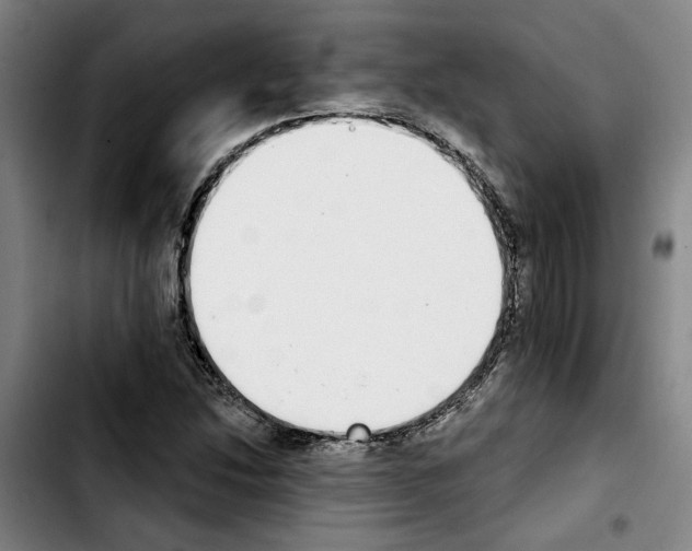 X0000103441214200810241114