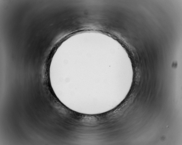 X0000103441215200810241114