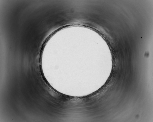 X0000103441216200810241114