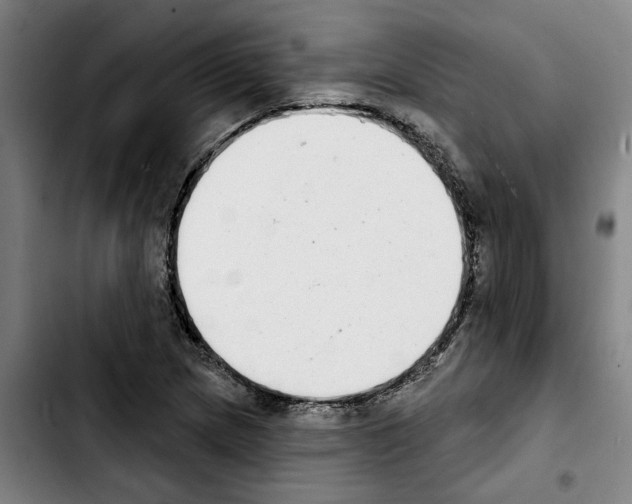 X0000103441217200810241114