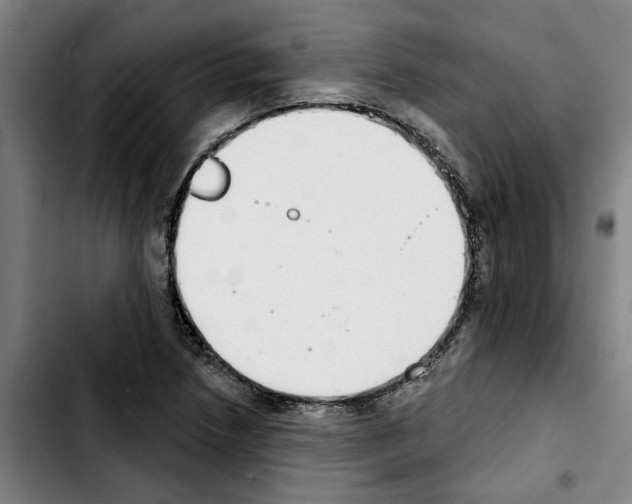 X0000103441218200810241114