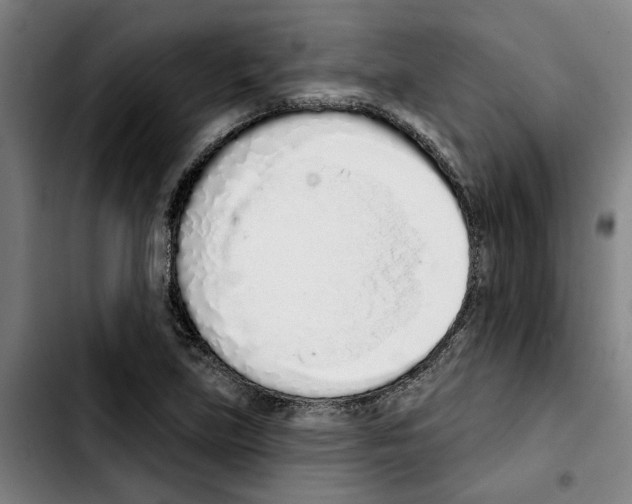 X0000103441219200810241114