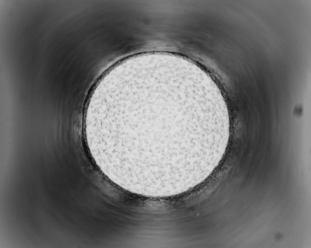 X0000103441220200810241114