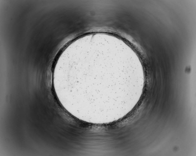 X0000103441221200810241114