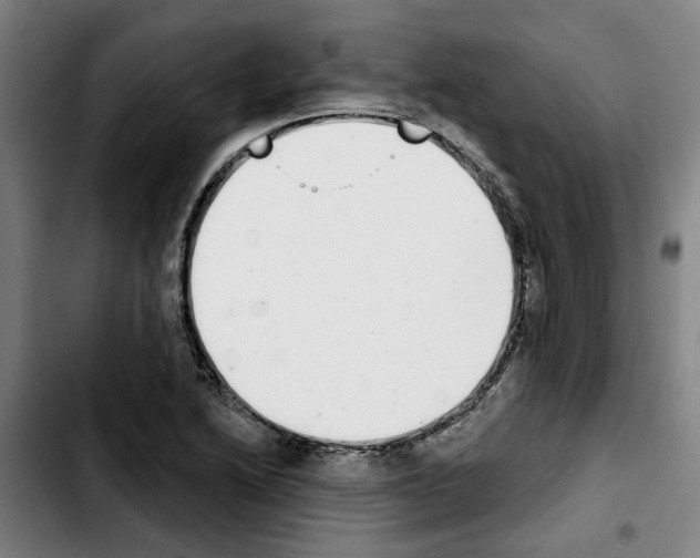 X0000103441222200810241114