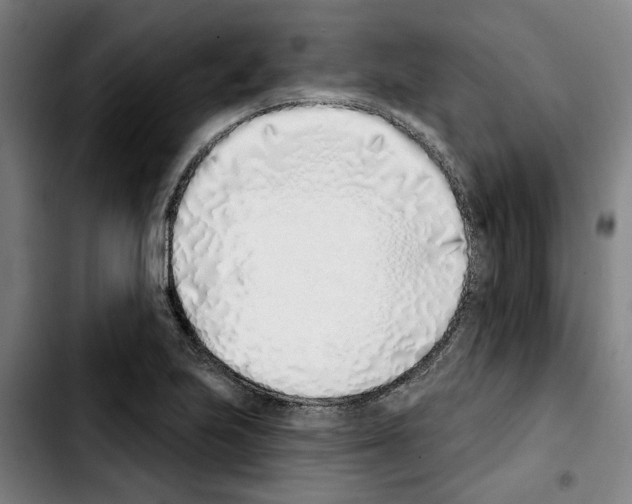 X0000103441223200810241114