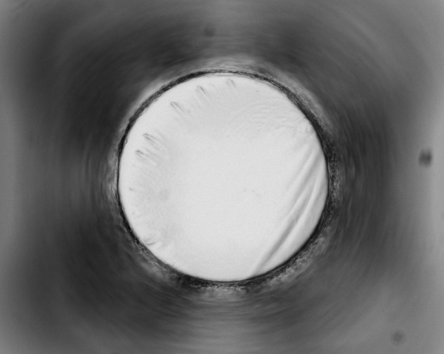X0000103441224200810241114
