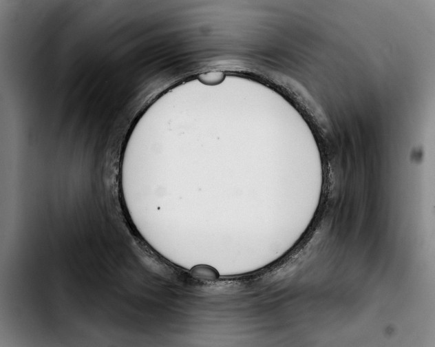 X0000103441225200810241114