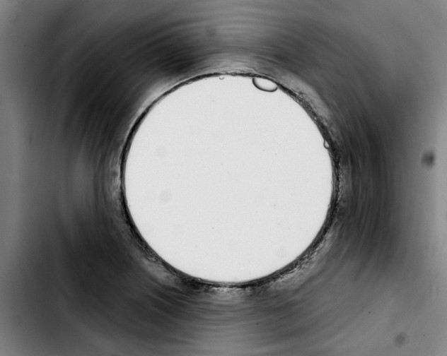 X0000103441226200810241114