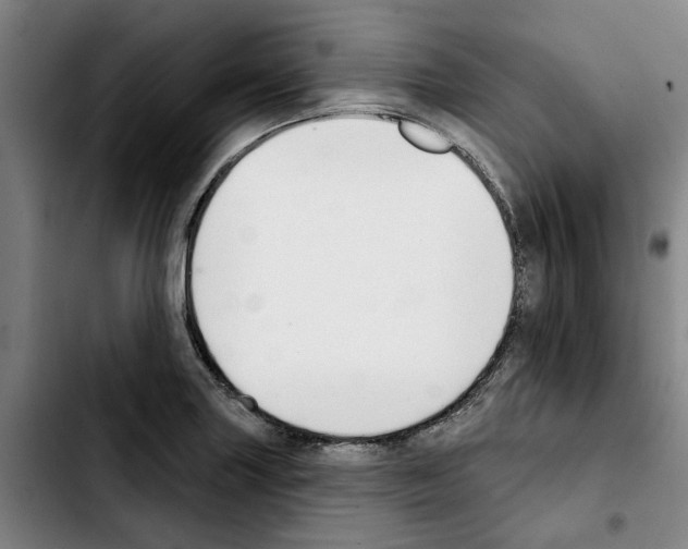 X0000103441227200810241114