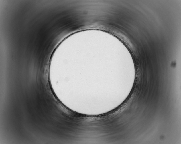 X0000103441228200810241114