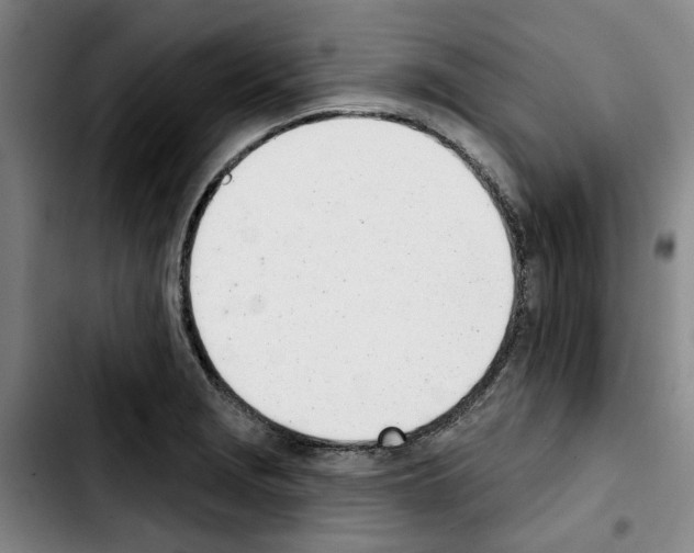 X0000103441229200810241114