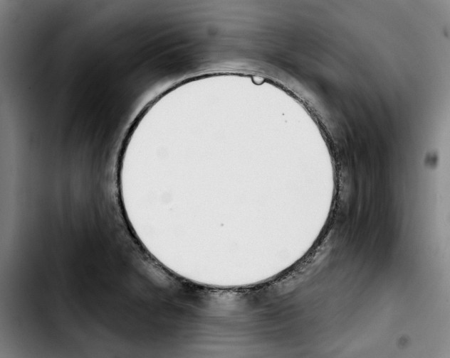 X0000103441230200810241114