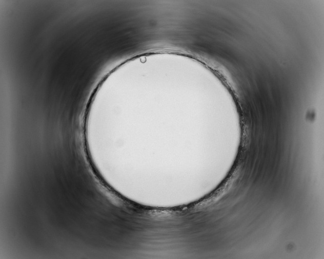 X0000103441231200810241114