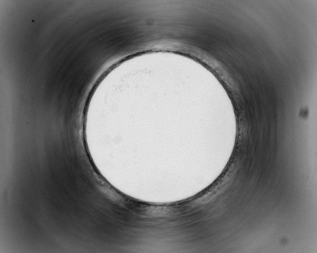 X0000103441232200810241114