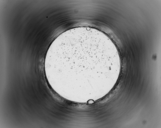 X0000103441233200810241114