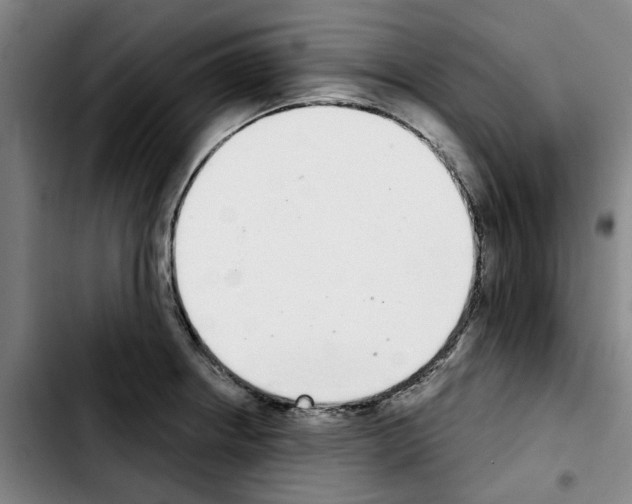 X0000103441234200810241114
