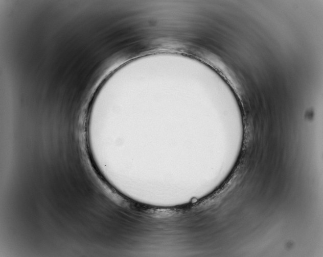 X0000103441235200810241114