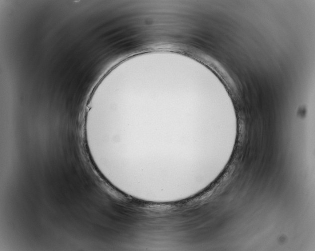 X0000103441236200810241114