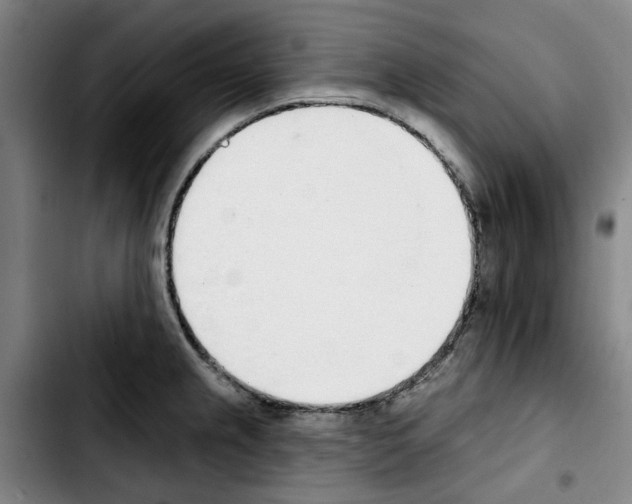 X0000103441237200810241114