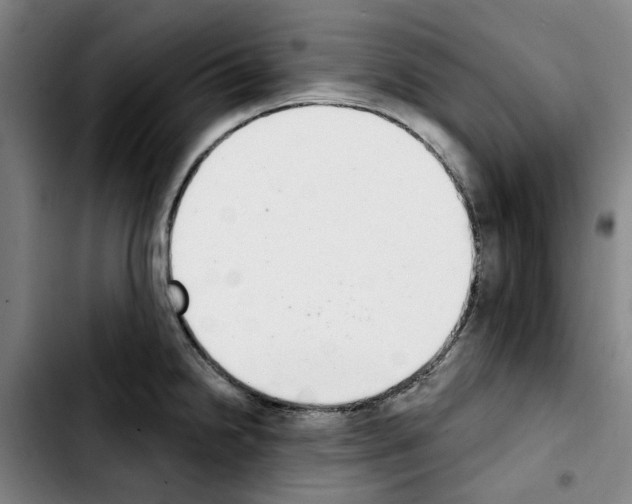 X0000103441238200810241114