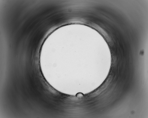 X0000103441240200810241114