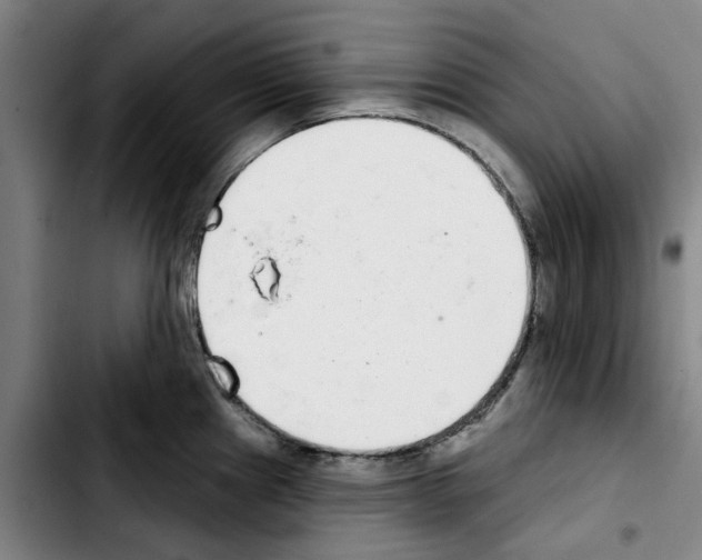 X0000103441241200810241114