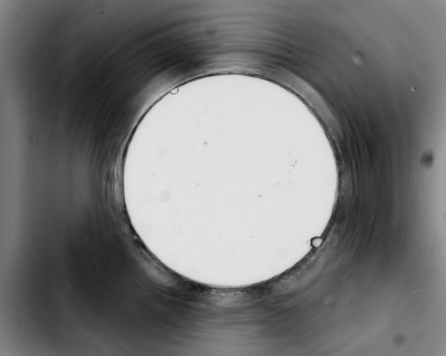 X0000103441242200810241114
