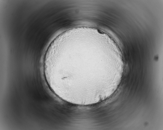 X0000103441243200810241114