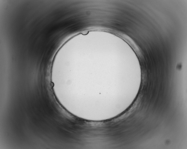 X0000103441244200810241114