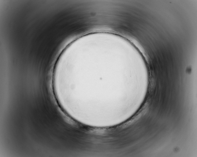 X0000103441245200810241114