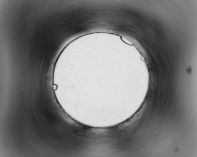 X0000103441246200810241114