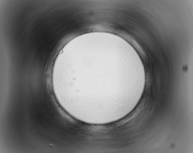 X0000103441247200810241114
