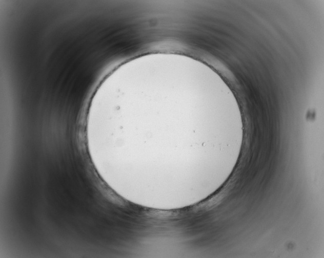 X0000103441248200810241114