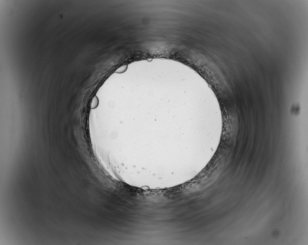 X0000103441249200810241113