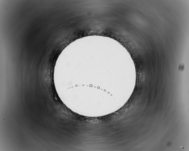 X0000103441250200810241113