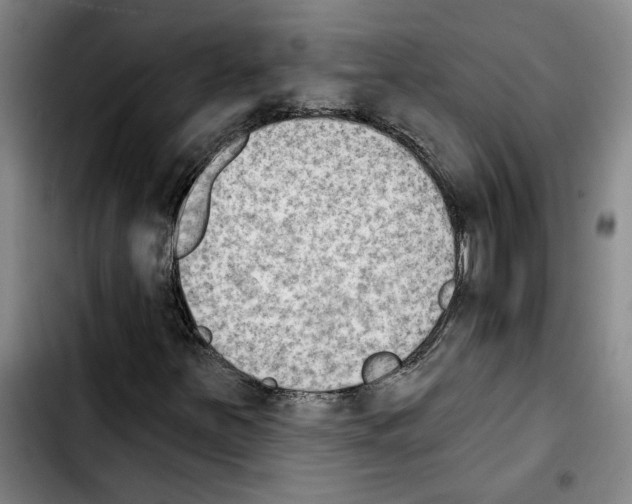 X0000103441251200810241113