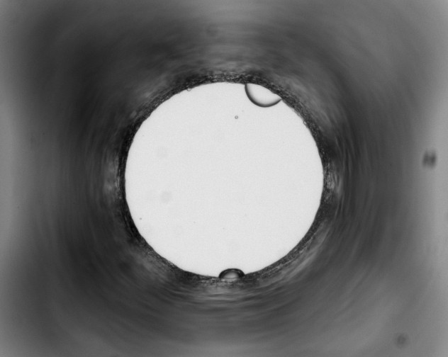 X0000103441252200810241113