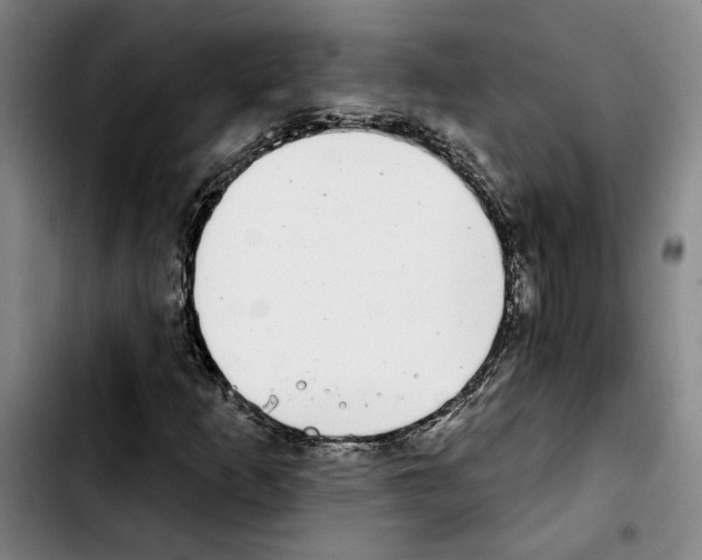X0000103441253200810241113