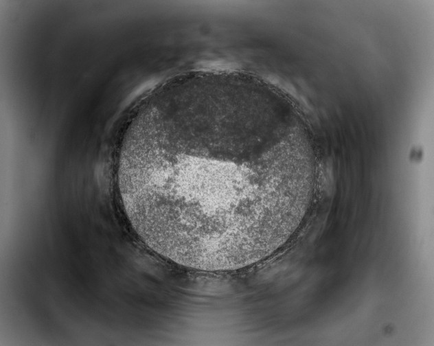 X0000103441254200810241113