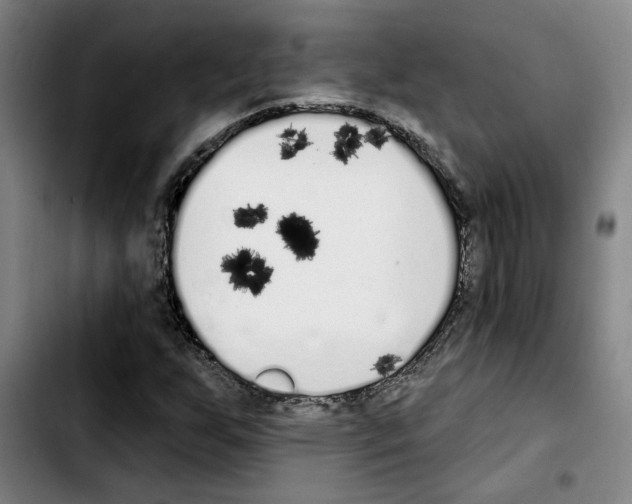 X0000103441255200810241113